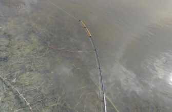 Ловля рыбы на фидер ранней весной