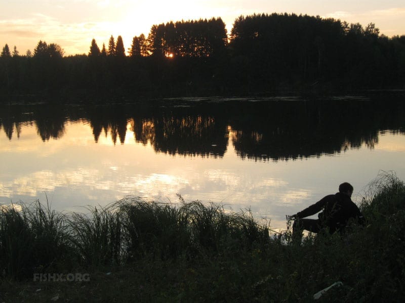 Рыбалка на Кобылинском пруду