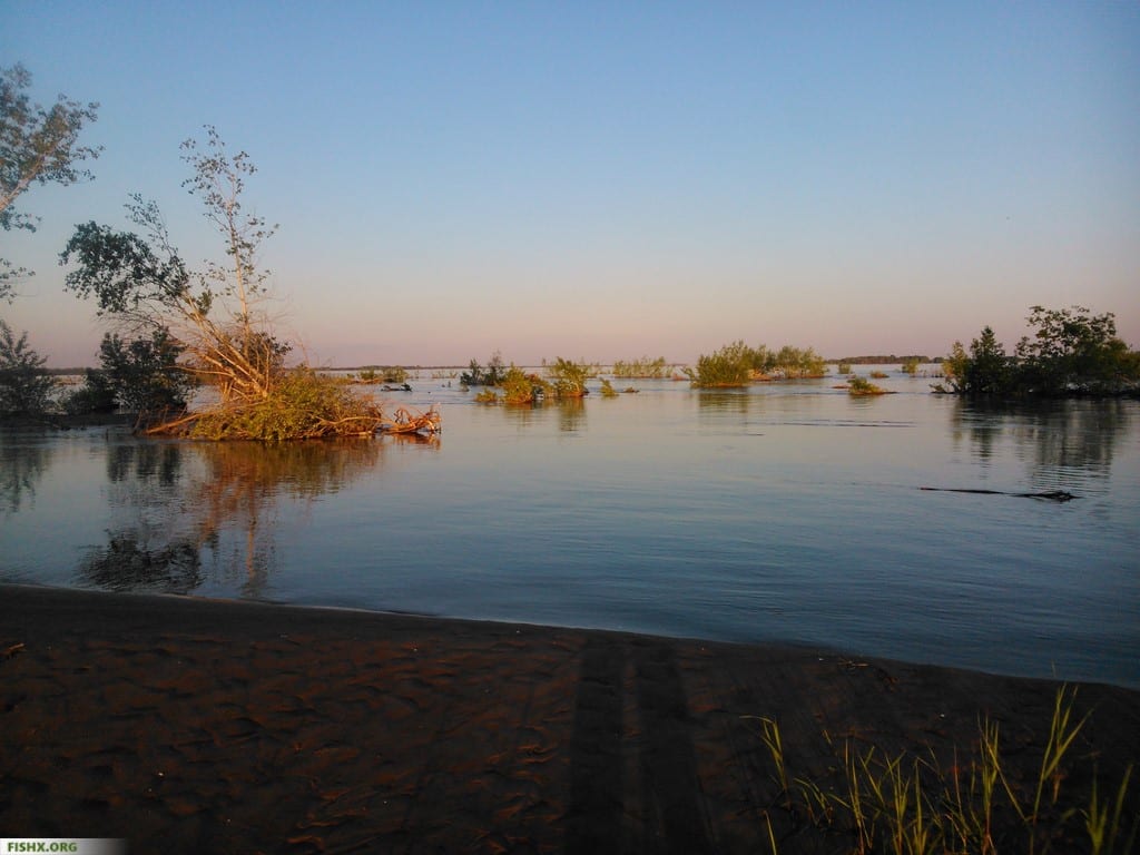 Разлив реки Волга весной