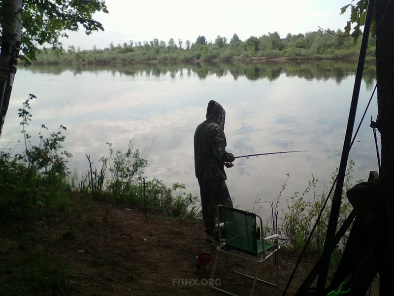 рыбалка на фидер река клязьма